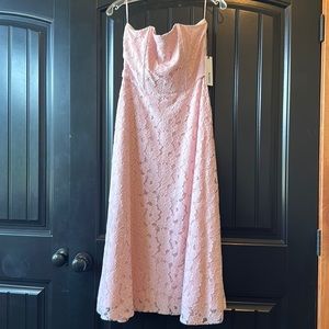 BB Dakota NWT Size 6 light Pink Lace Midi Dress